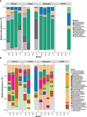 Bivalves and microbes: a mini-review of their relationship and potential implications for human health in a rapidly warming ocean